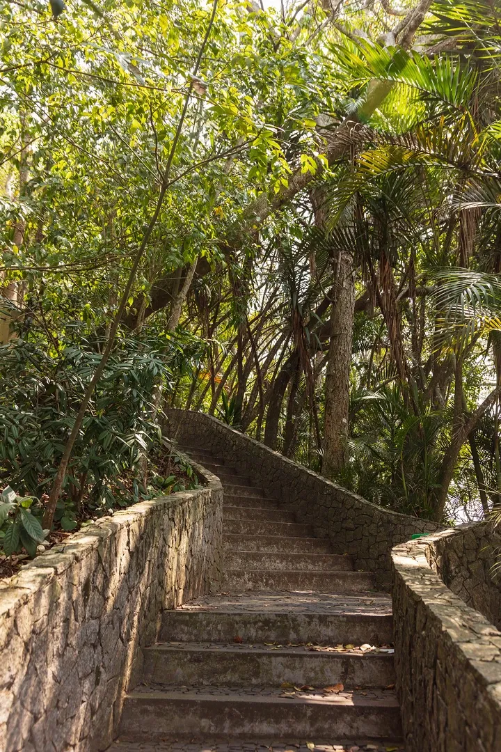 Imagem que é parte da section do projeto maravilha