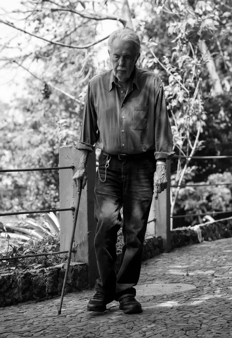 Imagem que é parte da section do projeto maravilha